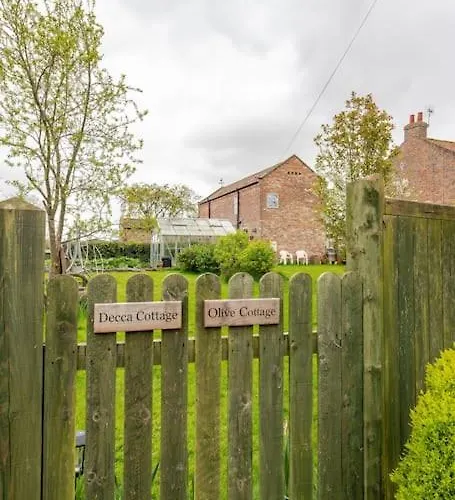 Olive Nidd Grange Moor Monkton * يورك